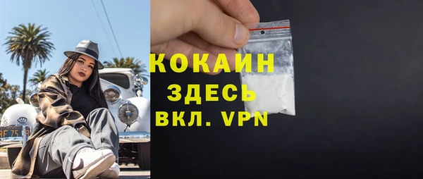 крисы Баксан