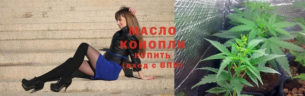 крисы Баксан